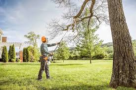 Best Utility Line Clearance  in Linthicum, MD